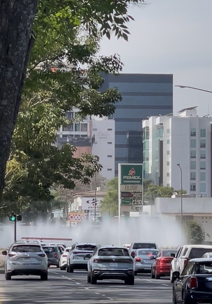 7 de 19: A una cuadra de la Minerva