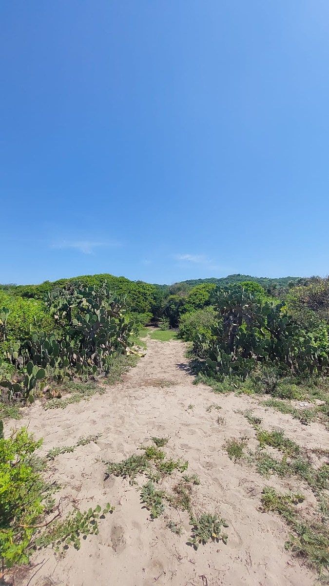 Lot in Agua Dulce, San Pedro Mixtepec, photo 6 of 13