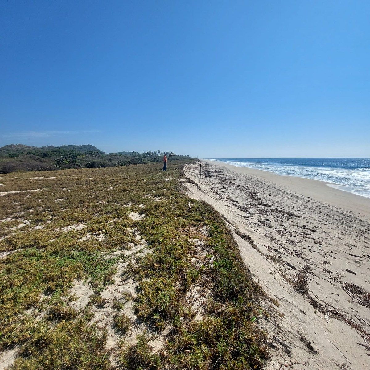 Lot in Agua Dulce, San Pedro Mixtepec, photo 9 of 13
