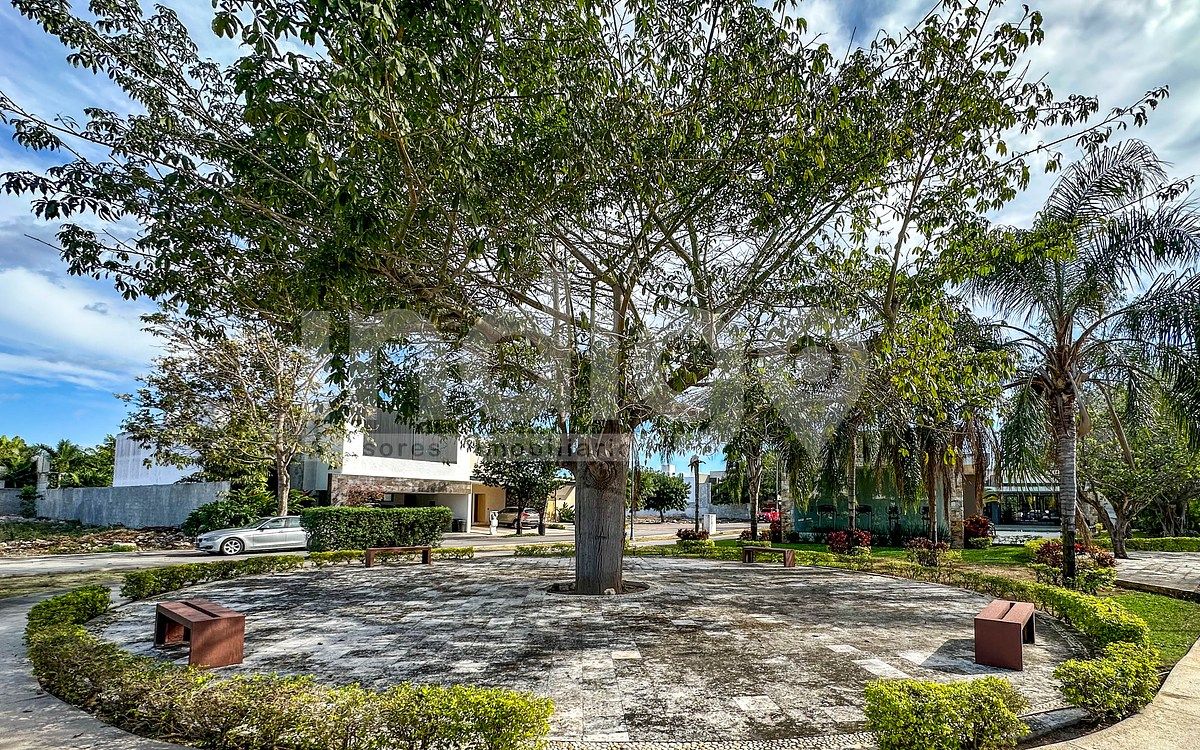 50 de 50: Áreas Verdes