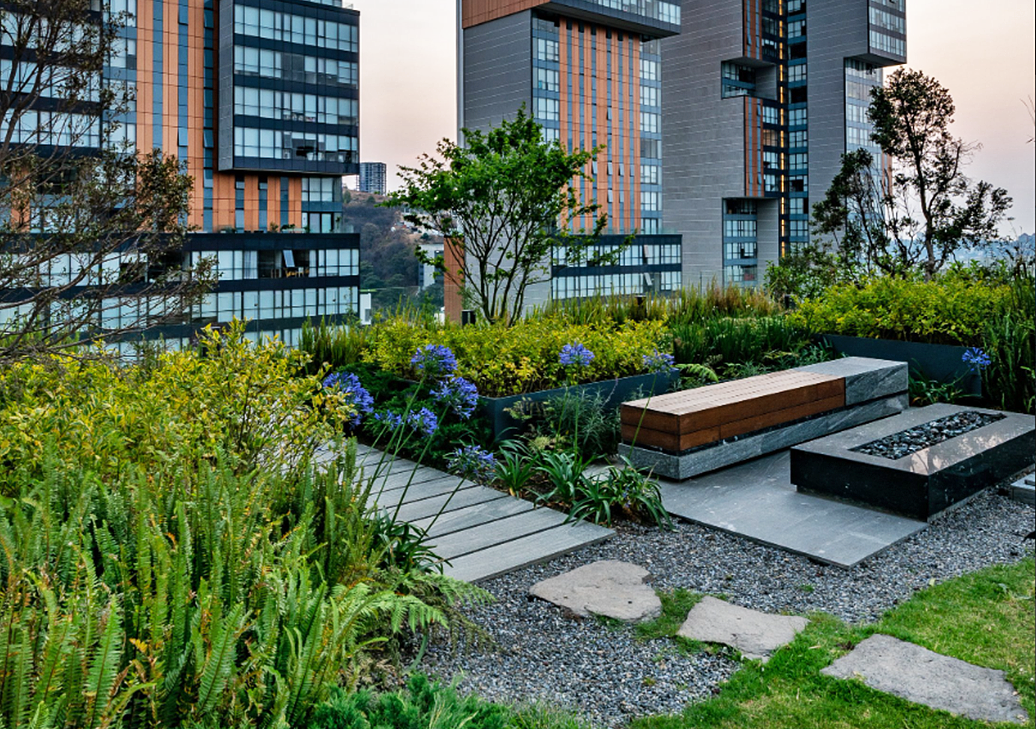 27 de 34: Jardín Zen