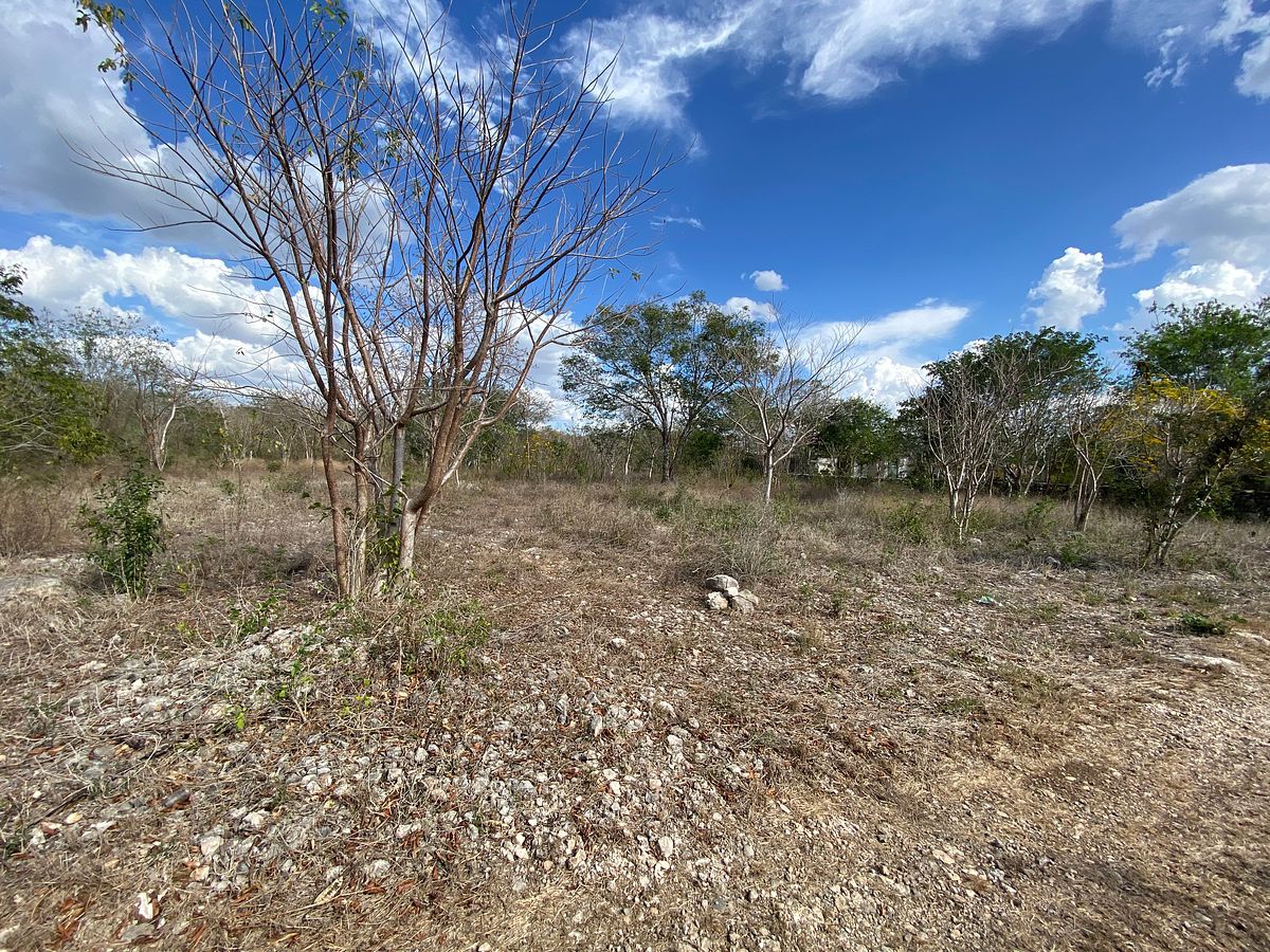 Terreno de 1,527 m² en venta en Ucú, Yucatán, con escritura pública, foto 1 de 6
