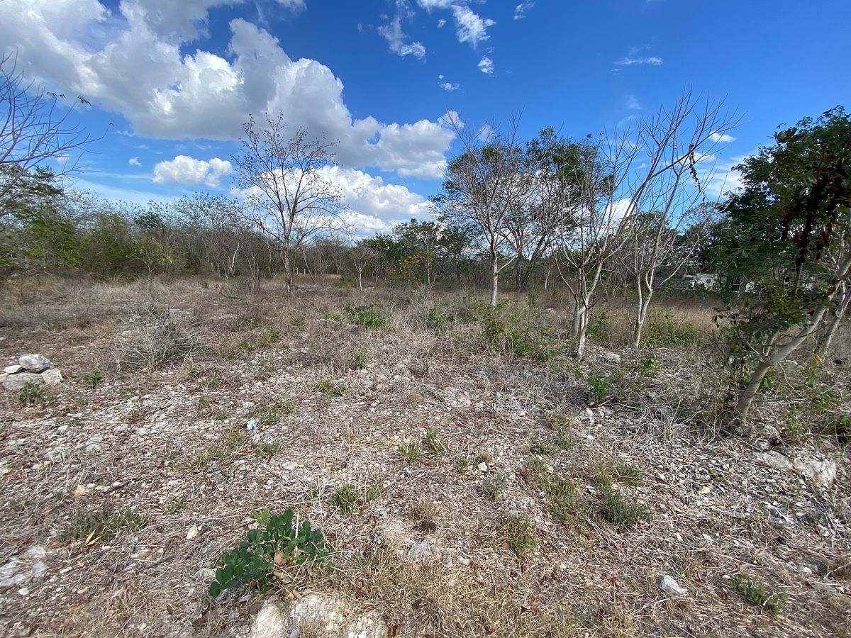 Terreno en Yaxche de Peón, Ucú, foto 4 de 6