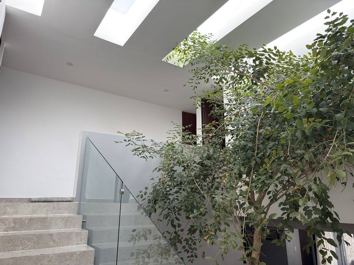 19 de 31: Planta Alta