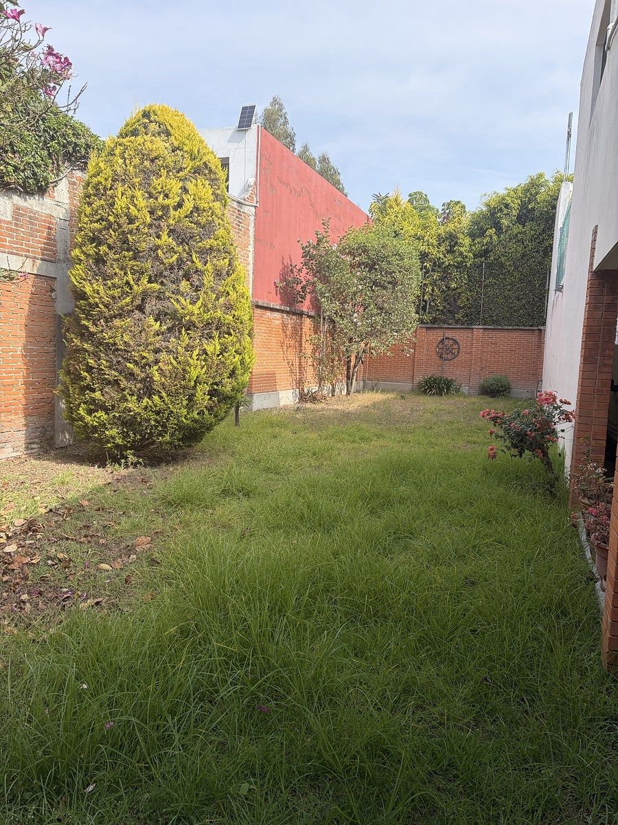 15 de 35: Jardín lateral izquierdo