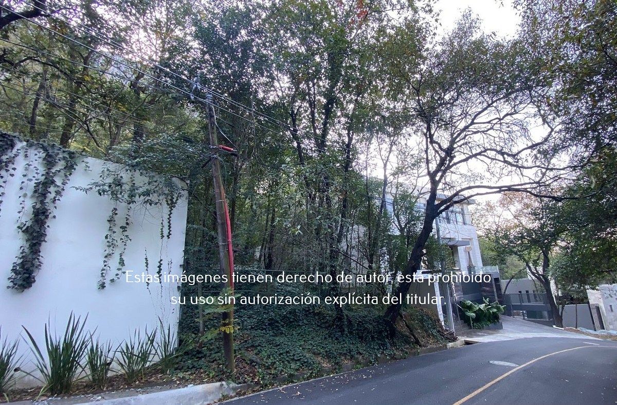 1 de 16: Terreno en Venta en Palmillas