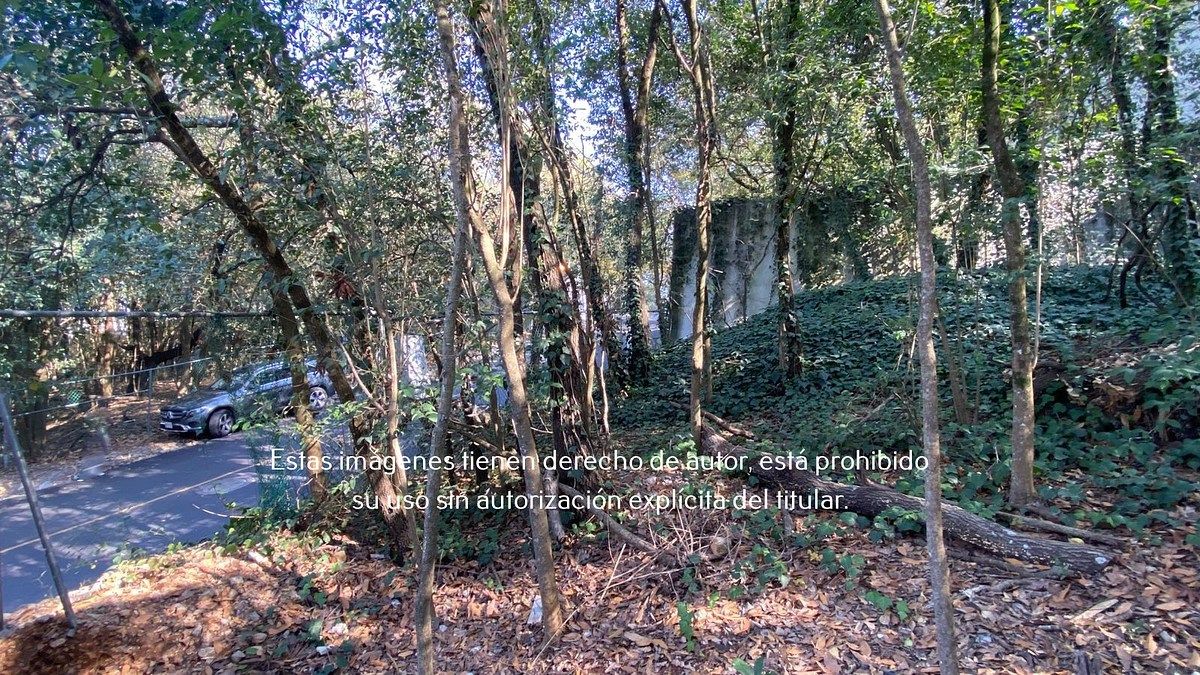 2 de 16: Terreno en Venta en Palmillas