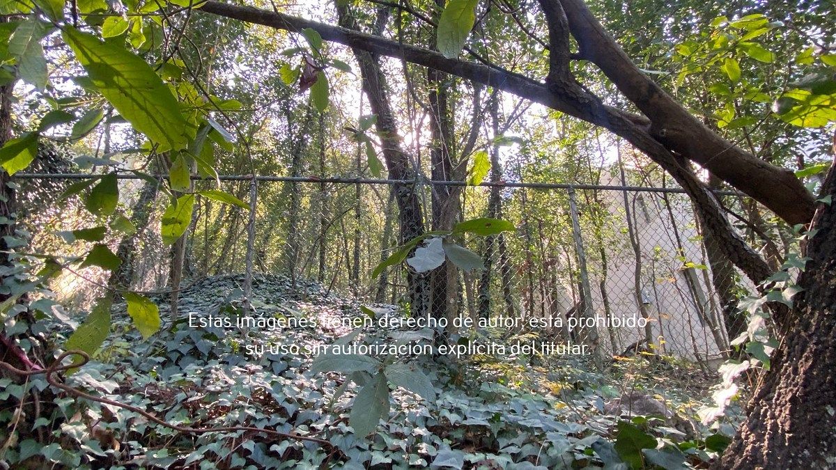 6 de 16: Terreno en Venta en Palmillas