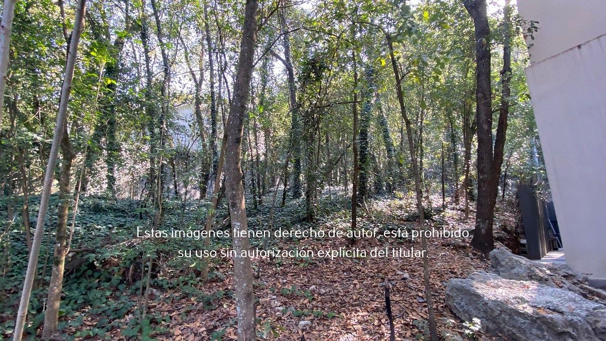 9 de 16: Terreno en Venta en Palmillas