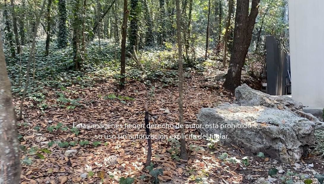 10 de 16: Terreno en Venta en Palmillas