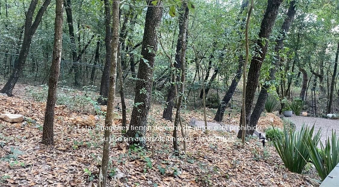 11 de 16: Terreno en Venta en Palmillas