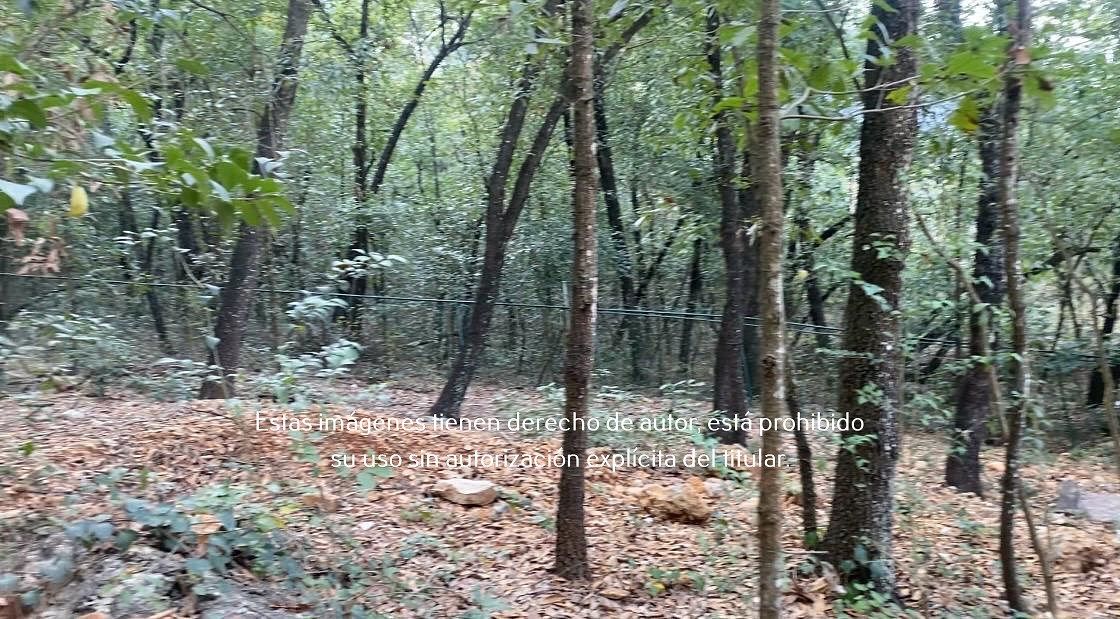 12 de 16: Terreno en Venta en Palmillas