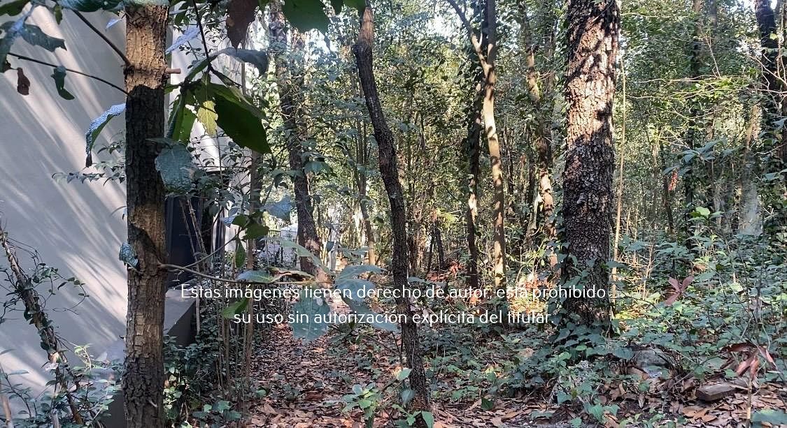 13 de 16: Terreno en Venta en Palmillas