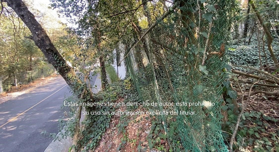 14 de 16: Terreno en Venta en Palmillas