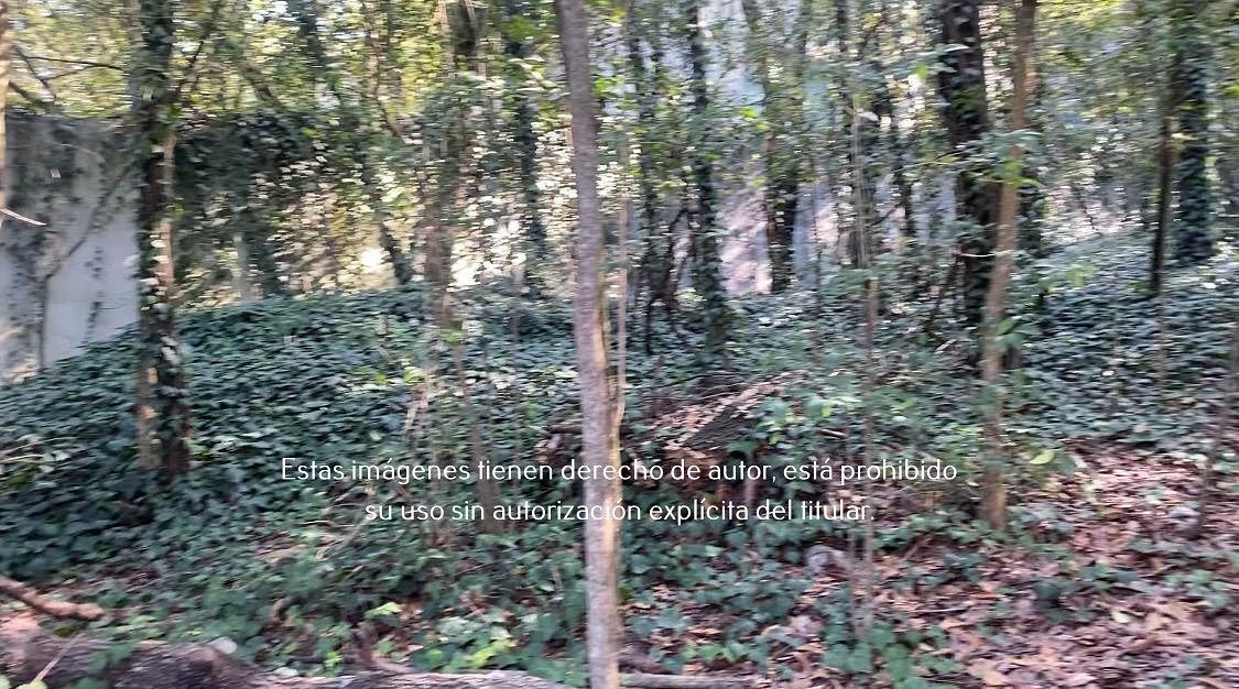 15 de 16: Terreno en Venta en Palmillas