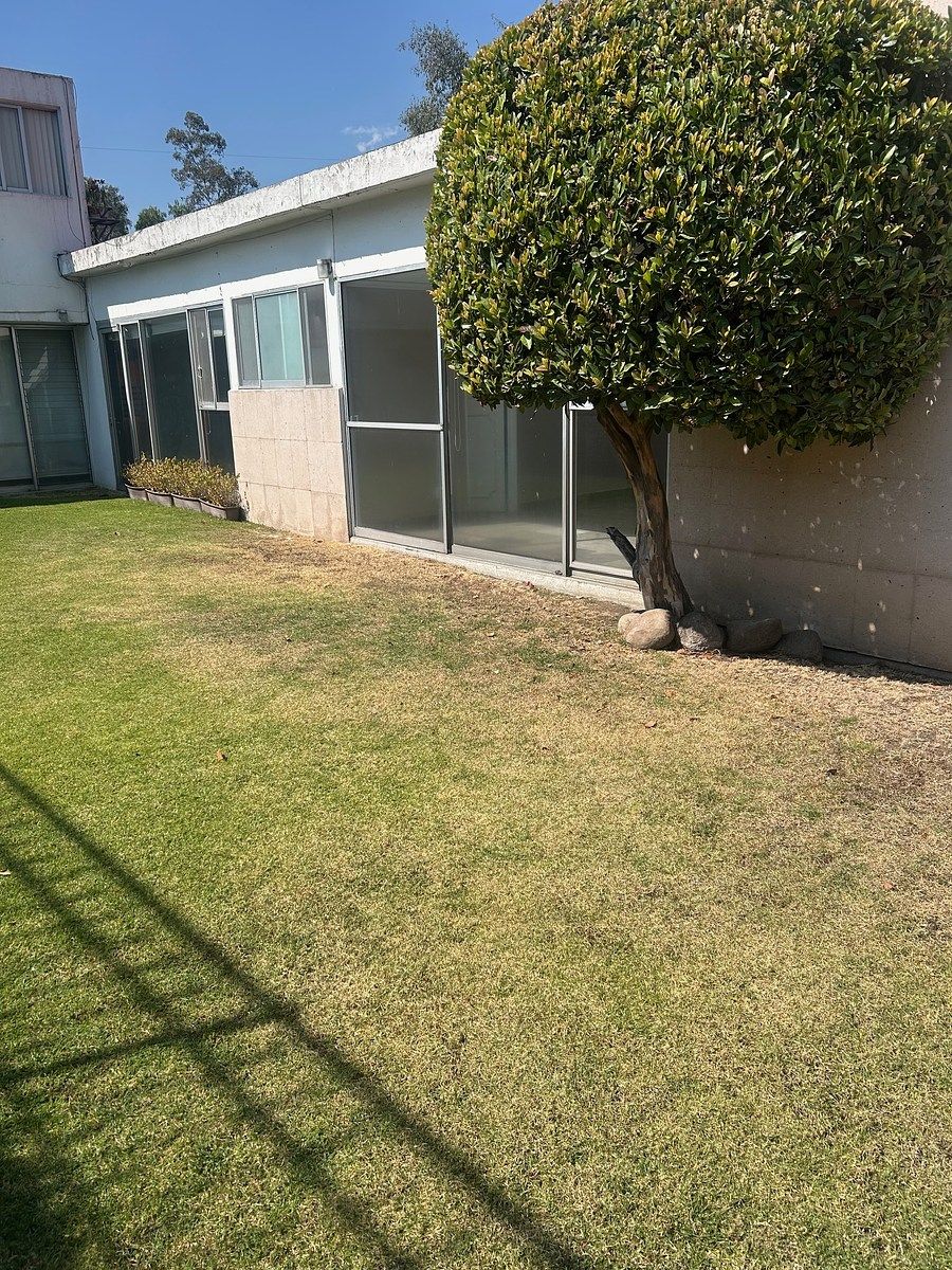 1 of 7: Oficina en Renta en Jardines del Pedregal Rayo Vende ®