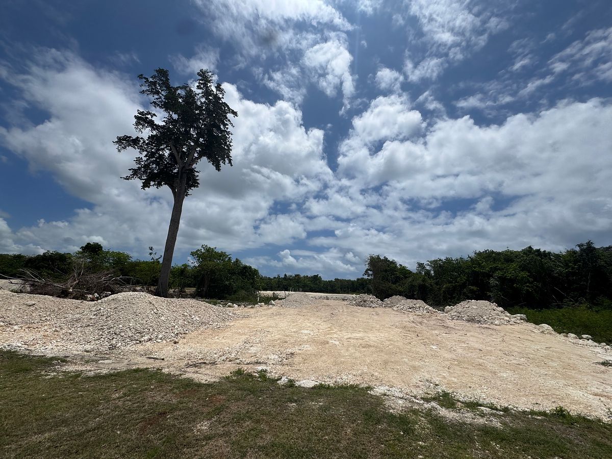 Terreno en Cap Cana, Punta Cana, foto 8 de 12