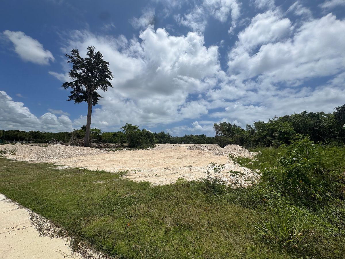 Terreno en Cap Cana, Punta Cana, foto 9 de 12