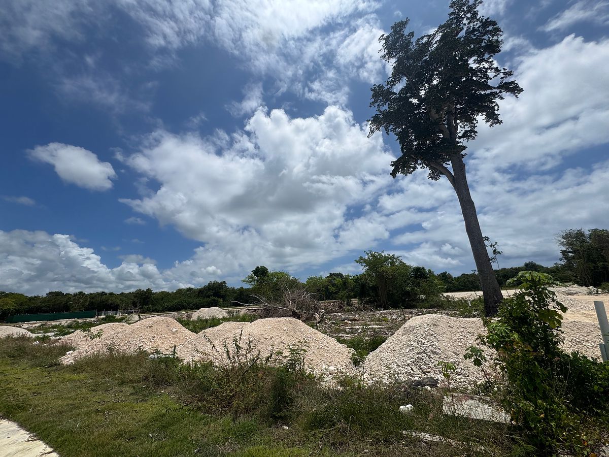 Terreno en Cap Cana, Punta Cana, foto 11 de 12