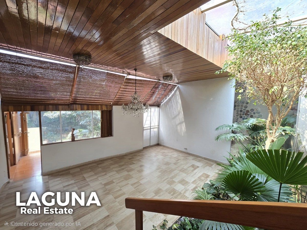 4 de 16: jardinera central, area de comedor