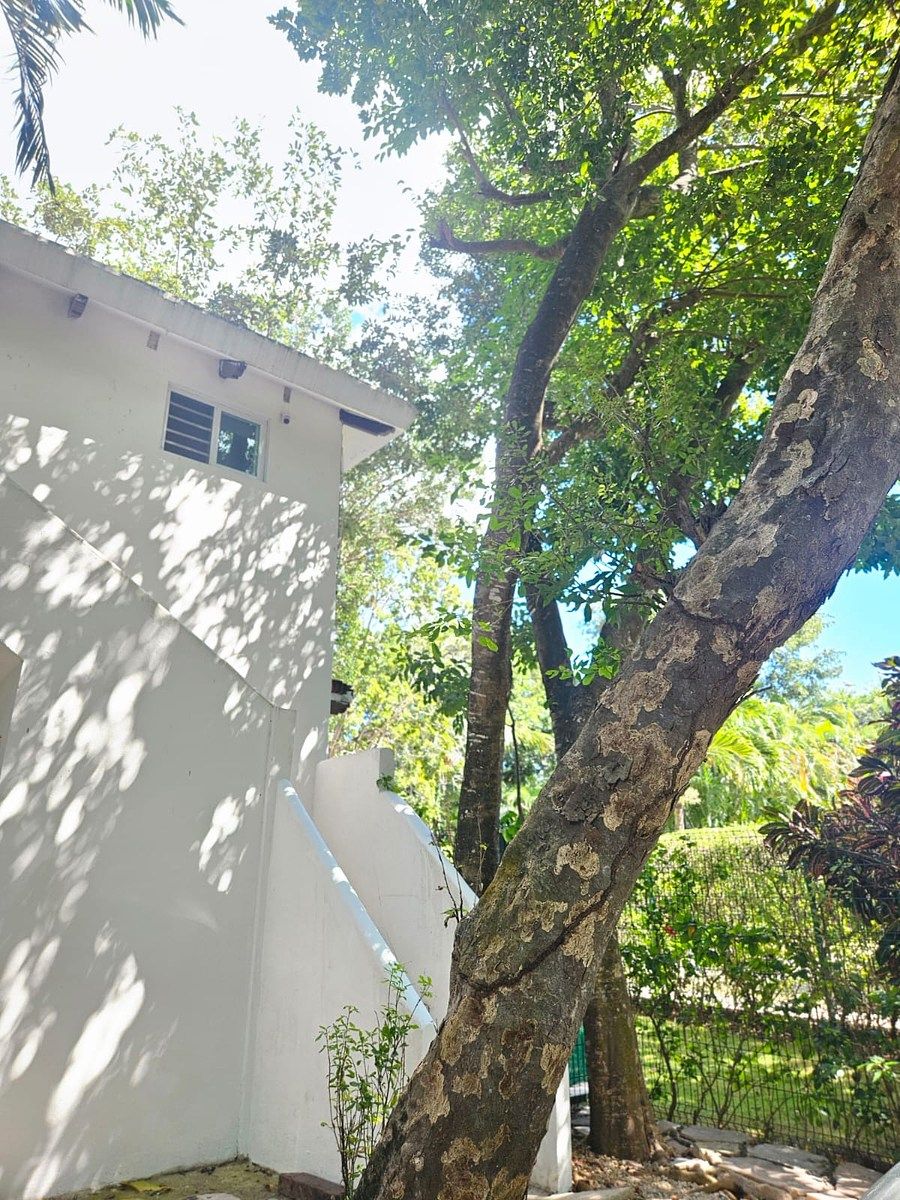 Studio for Rent in the Heart of Playacar Phase II, photo 1 of 9