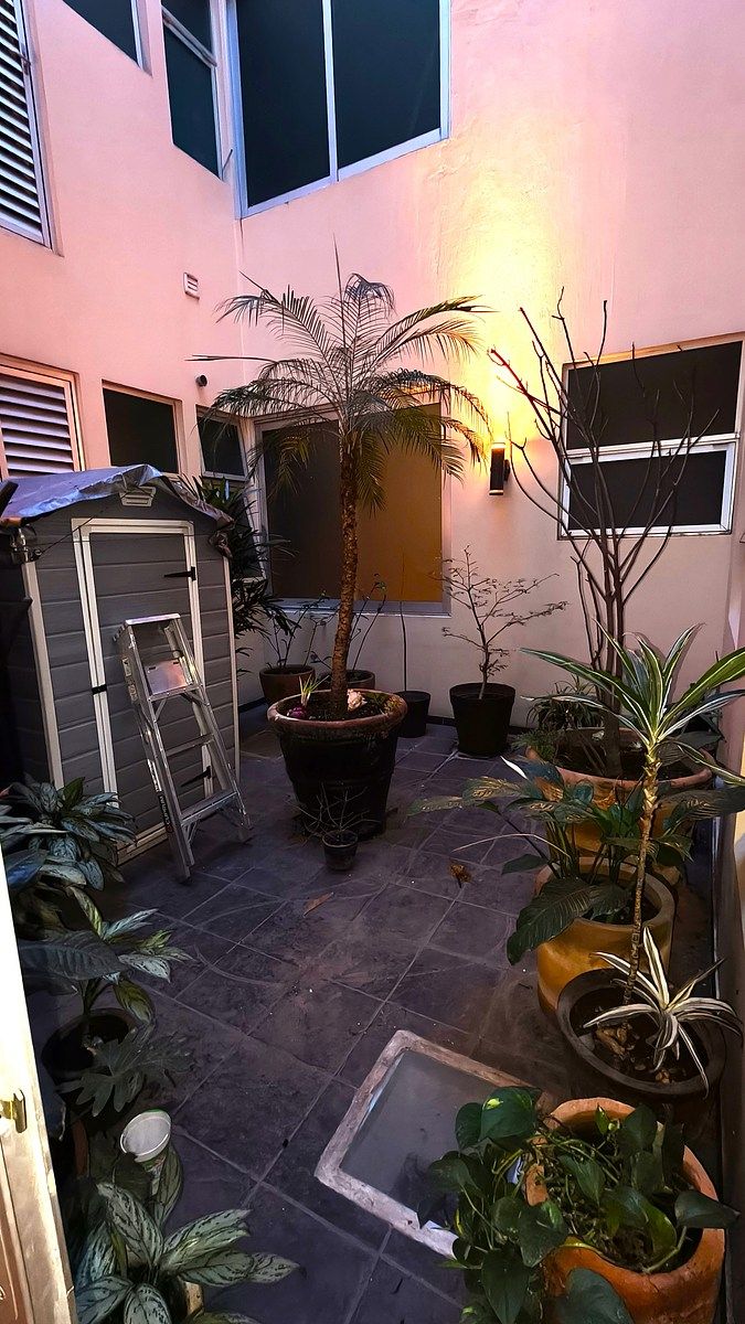 35 de 35: Patio Chico