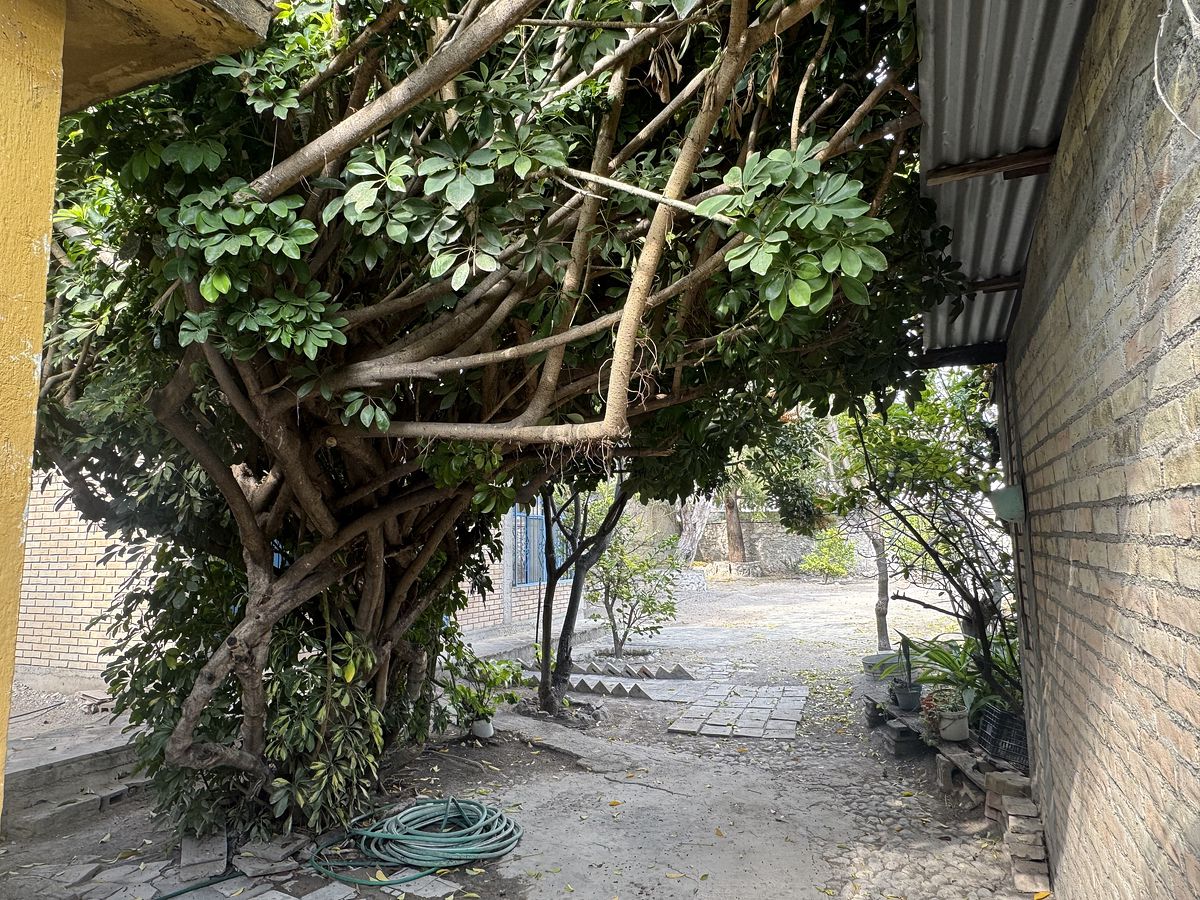 11 de 15: Terreno- patio