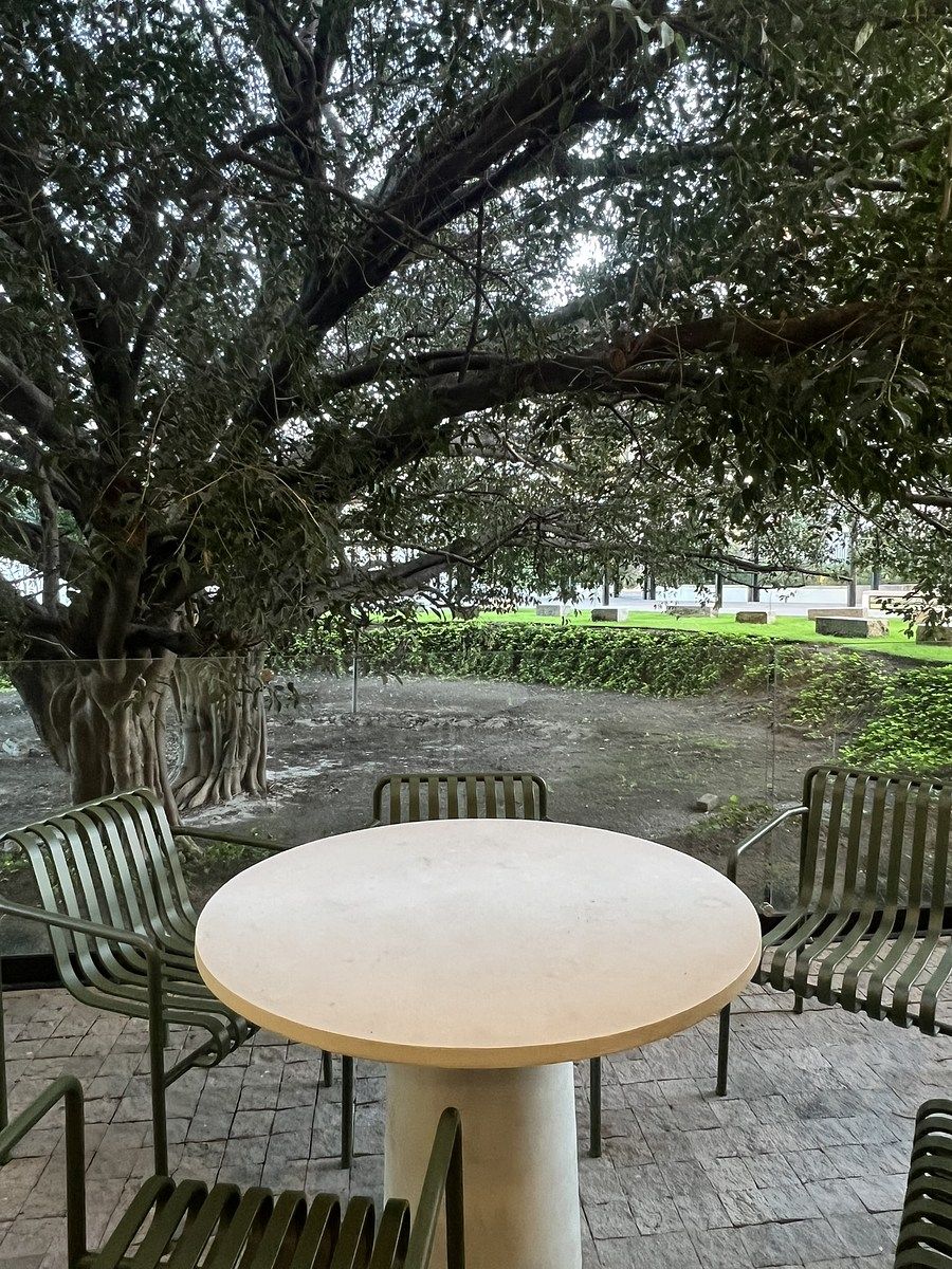 13 de 20: Área de Convivencia