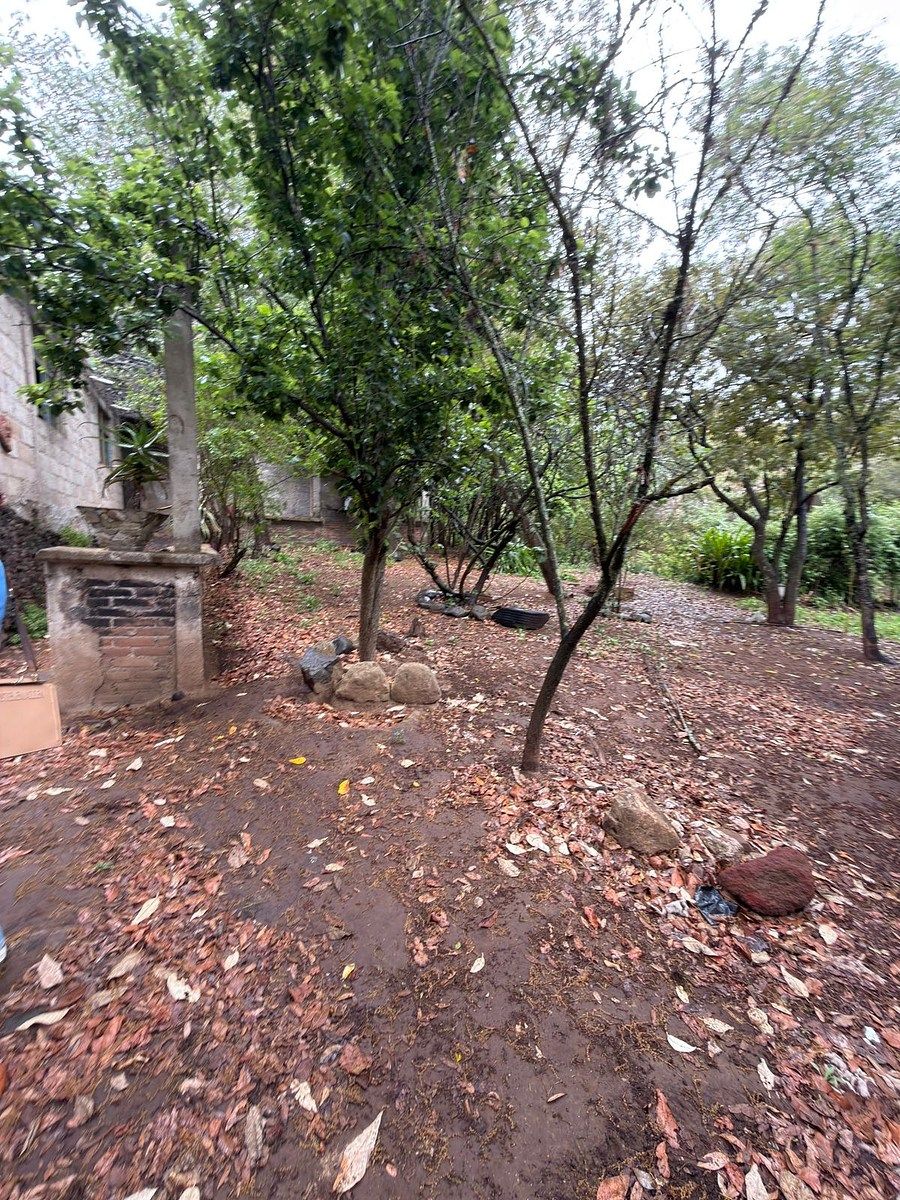 Terreno en Huasca de Ocampo Centro, Huasca de Ocampo, foto 4 de 9