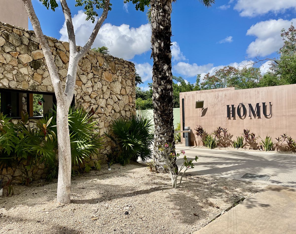 19 de 45: Entrada automatica con TAG