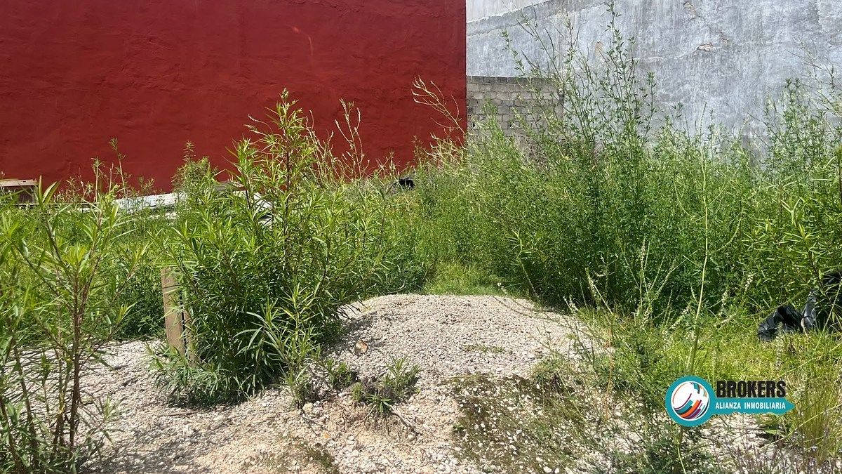 Terreno en San Ramón, San Cristóbal de Las Casas, foto 13 de 13