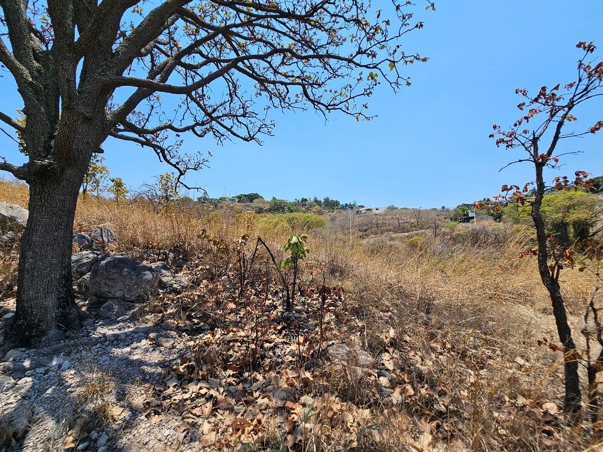 Terreno en Las Cañadas, Zapopan, foto 5 de 10