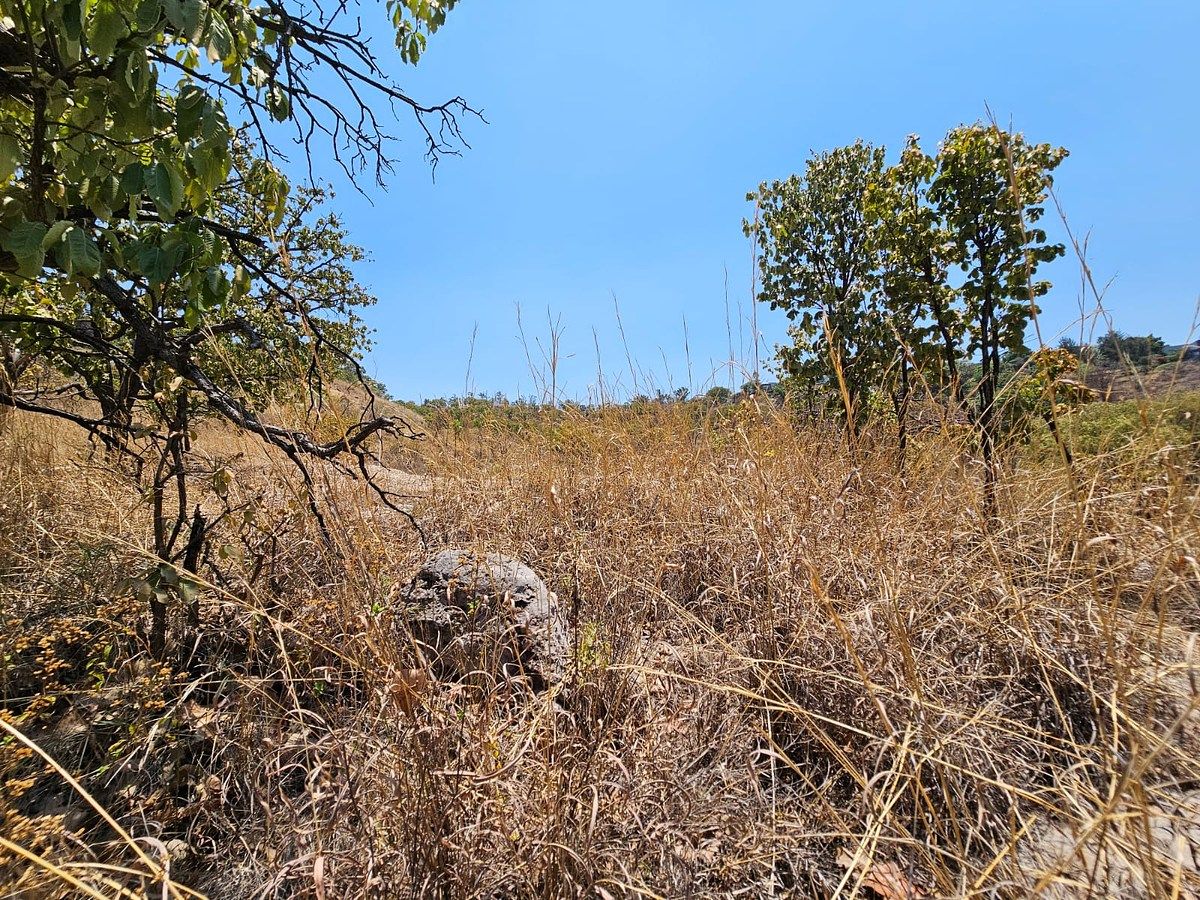 Terreno en Las Cañadas, Zapopan, foto 10 de 10