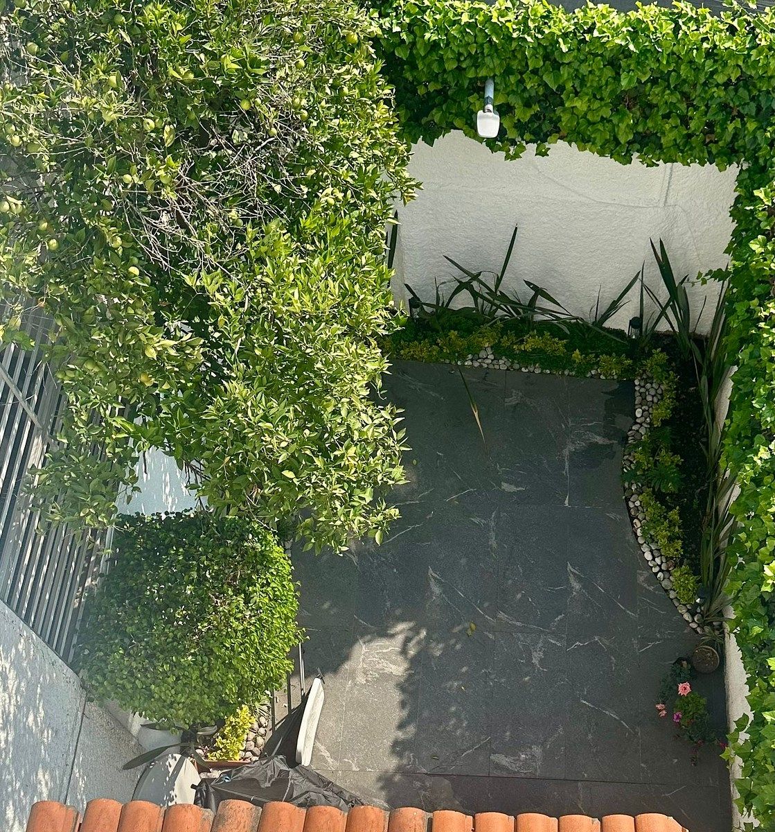 24 of 24: Terraza arbolada