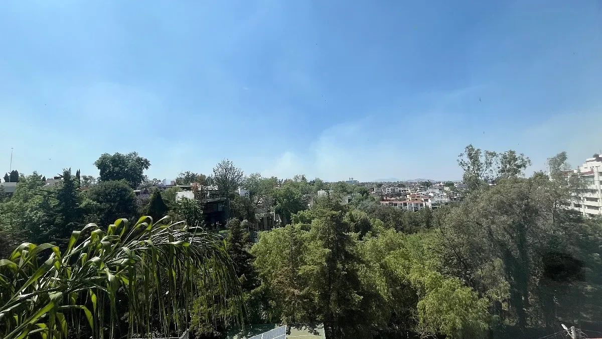 Casa en Lomas de Chapultepec I Sección, Miguel Hidalgo, foto 24 de 50