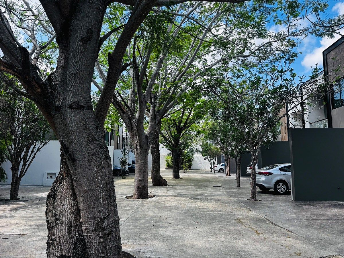 2 de 23: Privada