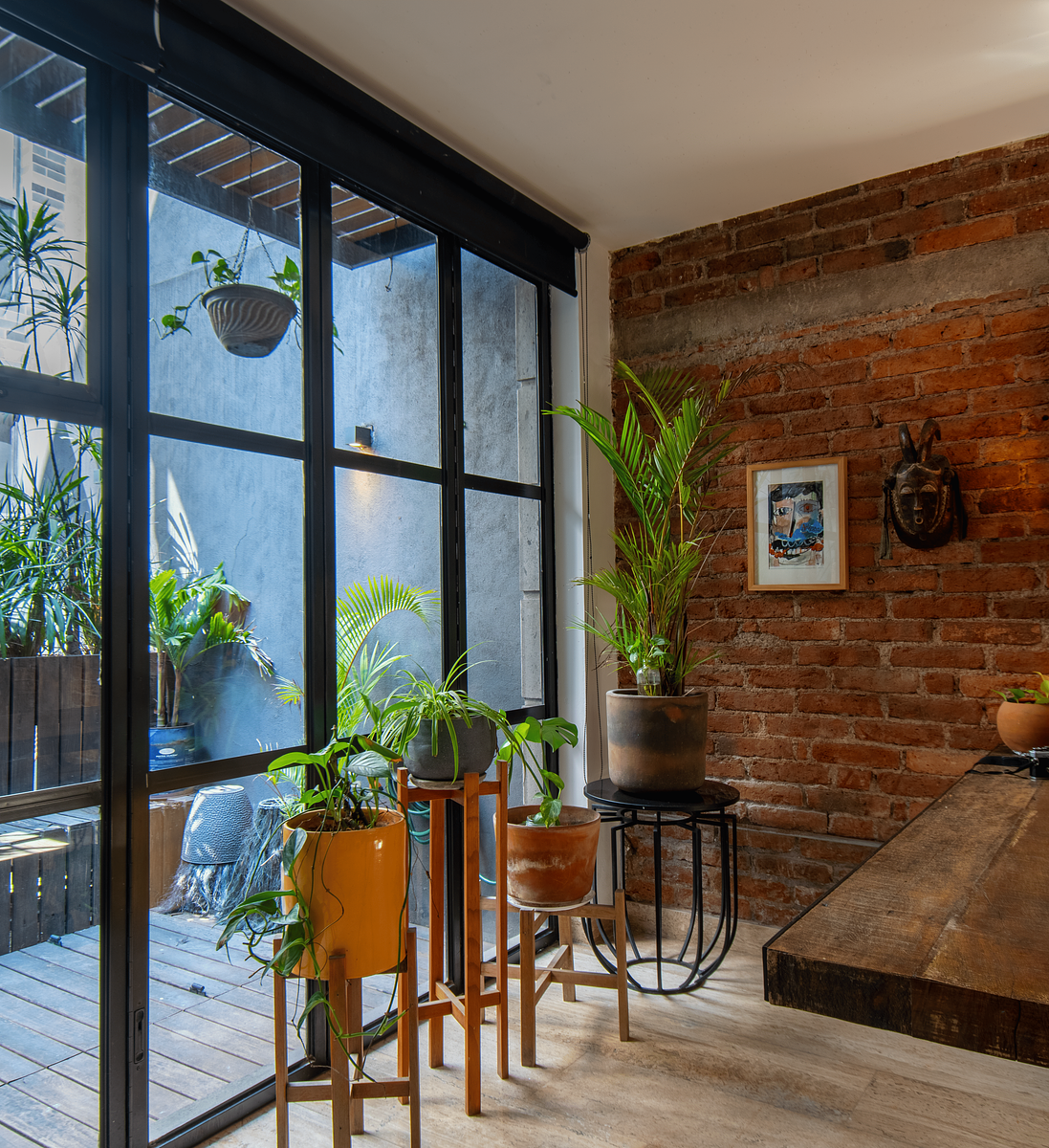 6 of 25: Vista hacia la terraza