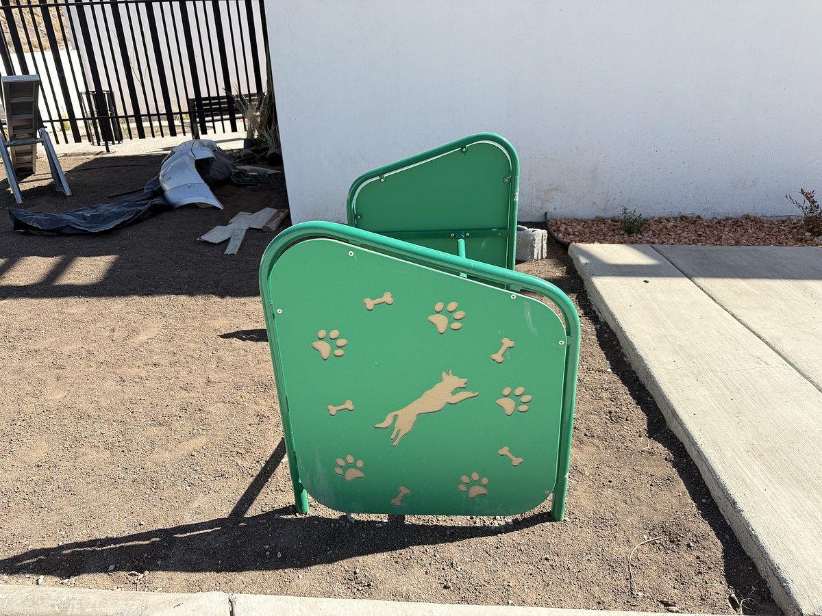 29 of 32: Juegos de perros