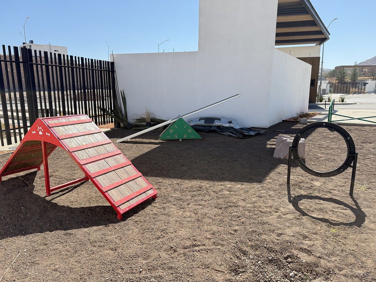 24 de 26: Circuito canino