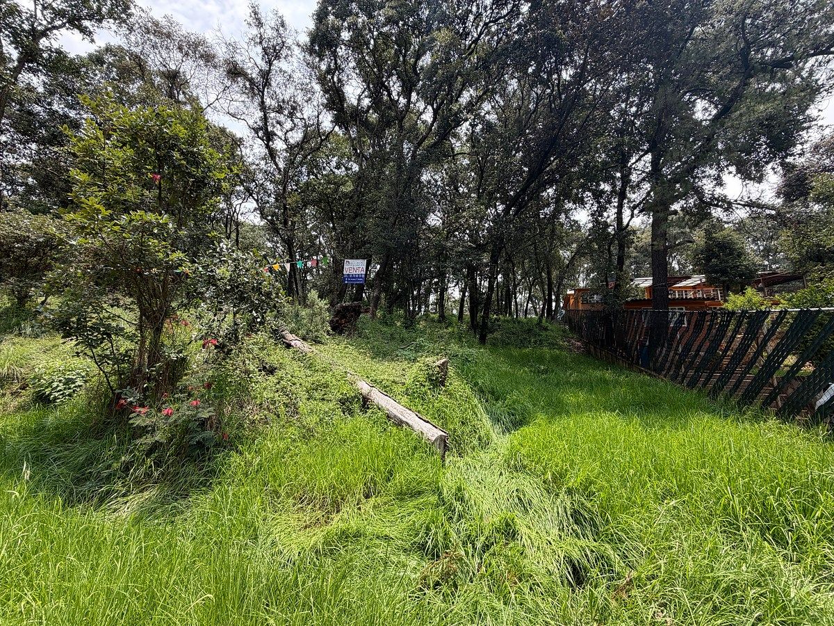 Lote em Villa del Actor, Villa del Carbón, foto 5 de 7