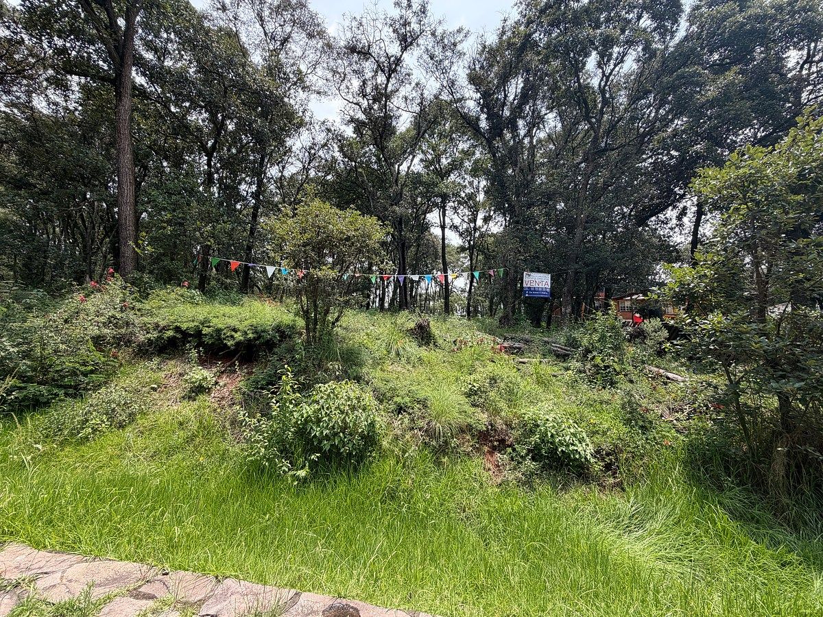 Lote em Villa del Actor, Villa del Carbón, foto 6 de 7
