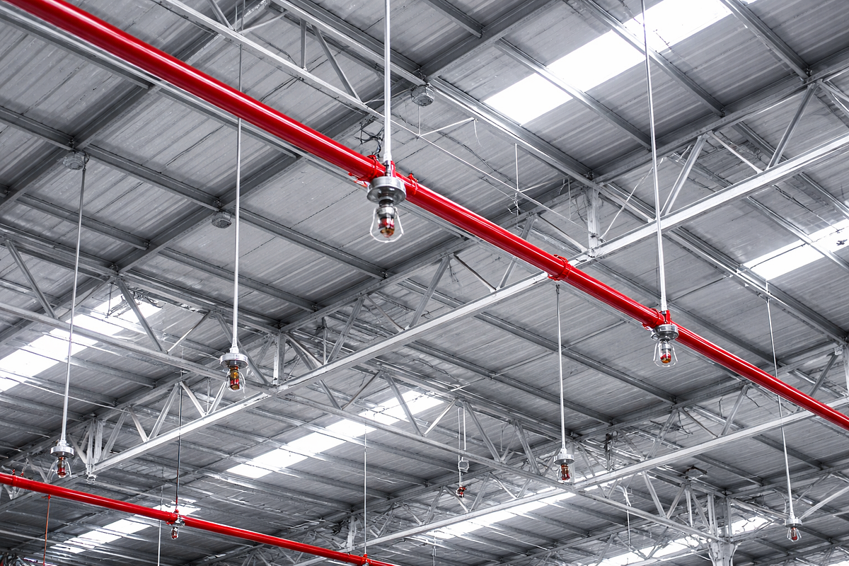 3 of 6: Imagen ilustrativa