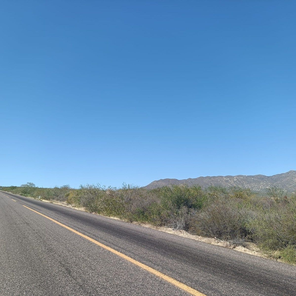 8 de 14: Frente del terreno (Orilla de carretera). 150mts