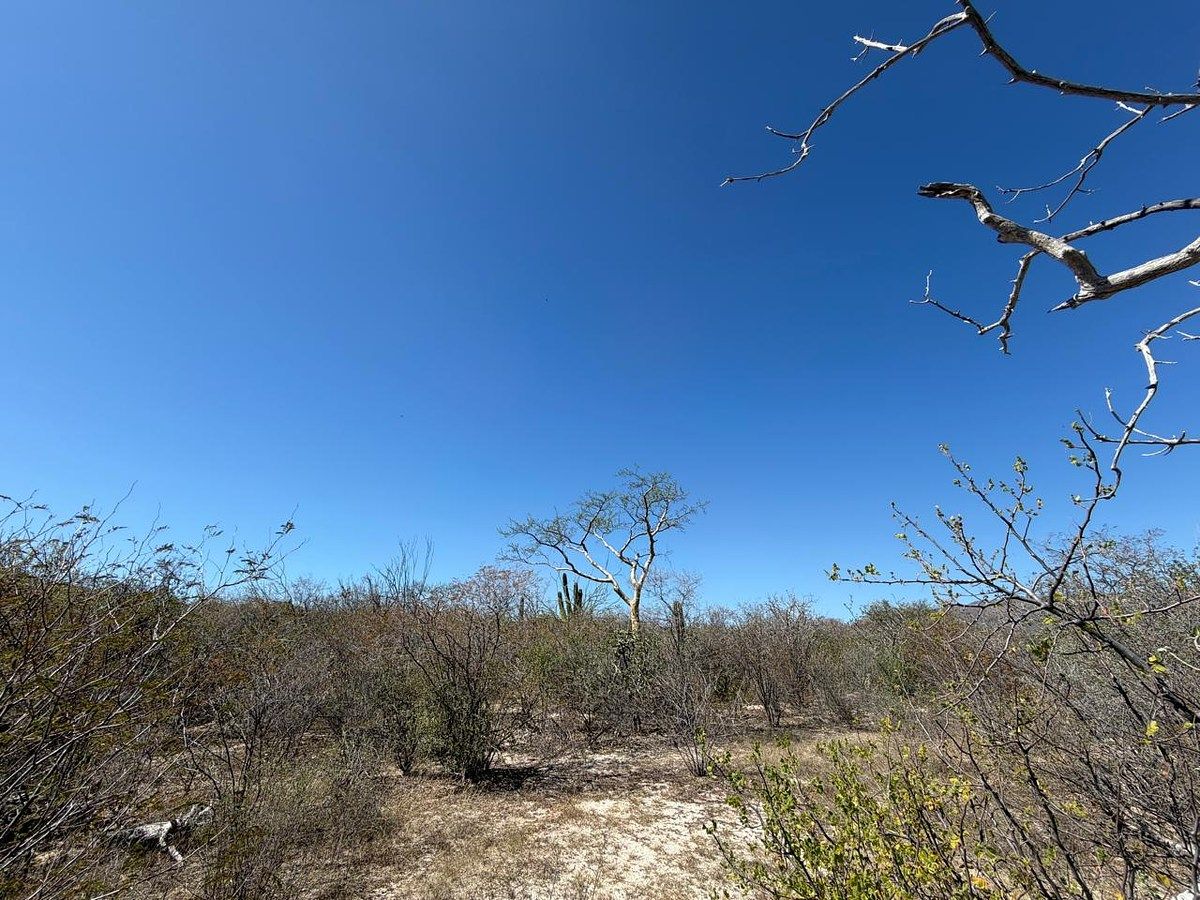 2 de 14: Parte interna del terreno.