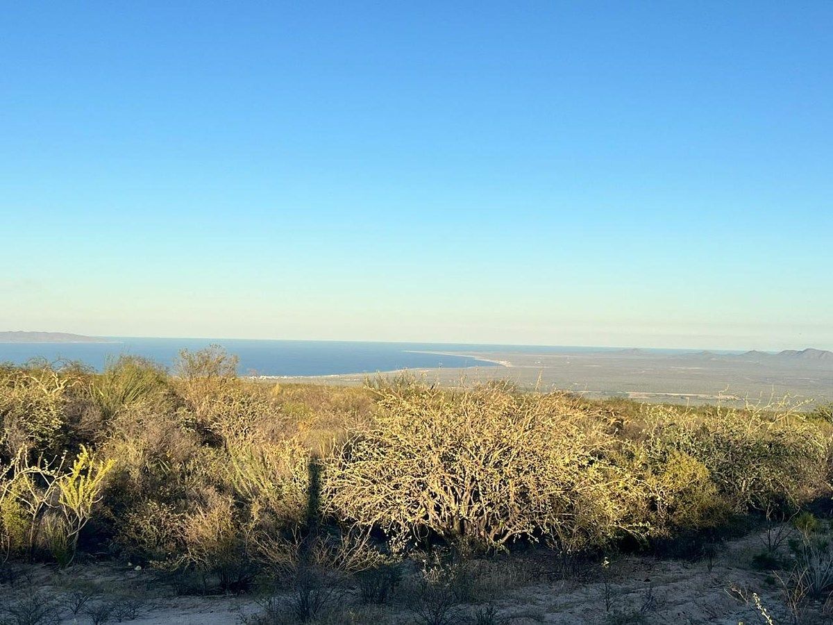 1 de 14: Foto tomada dentro del terreno, Km 27  La Paz-Los Planes