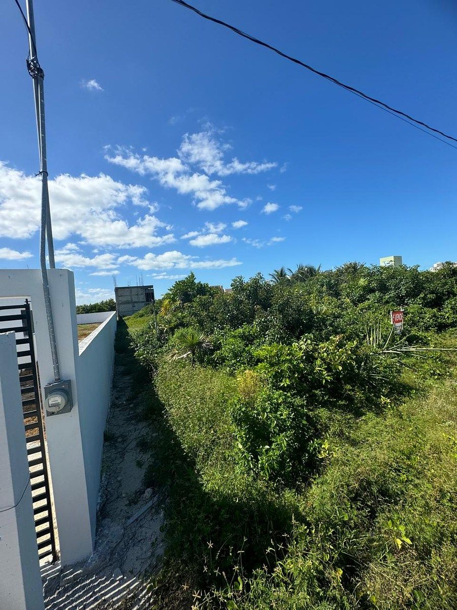 Terreno en San Benito, Dzemul, foto 7 de 7