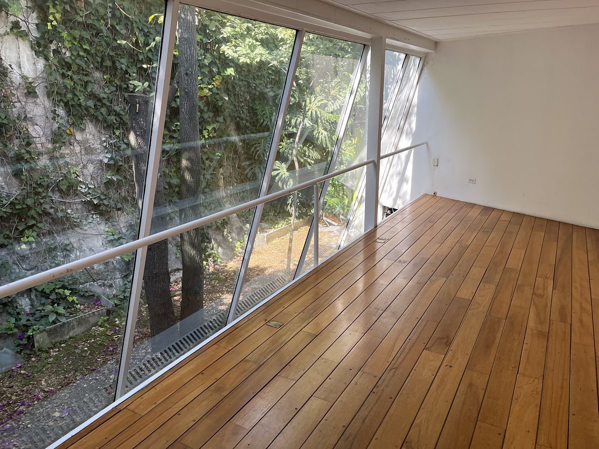 22 de 25: Vista al jardín del estudio mucha luz