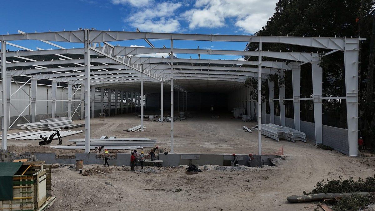 BODEGA EN RENTA – KM 37, PALÍN - Miniatura 2