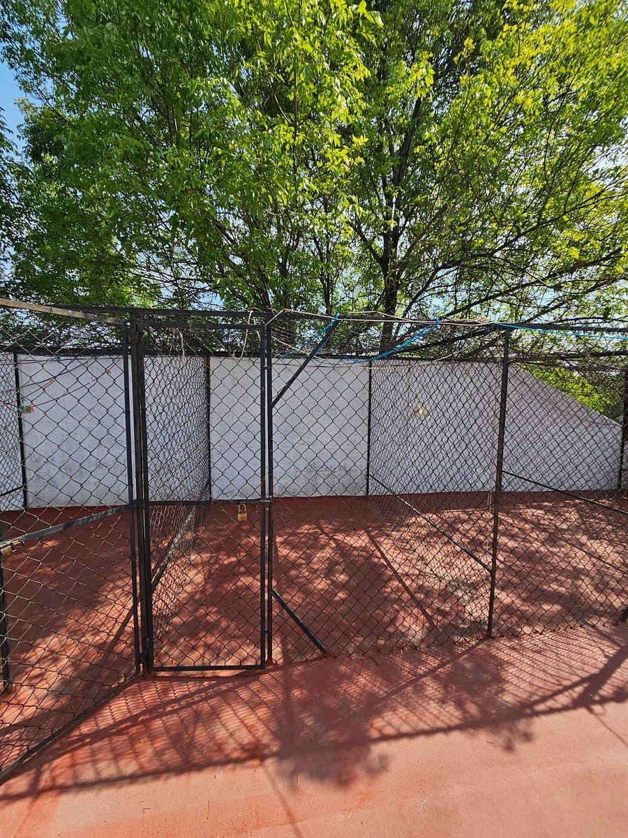 16 de 18: JAULA DE TENDIDO