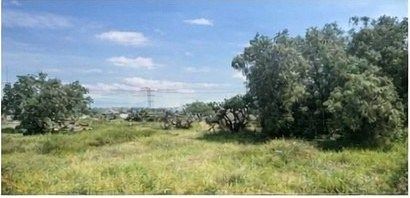 TERRENO INDUSTRIAL EN VENTA EN ATITALAQUIA, HIDALGO - foto 2